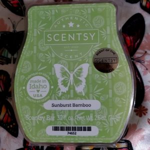 Scentsy full bar